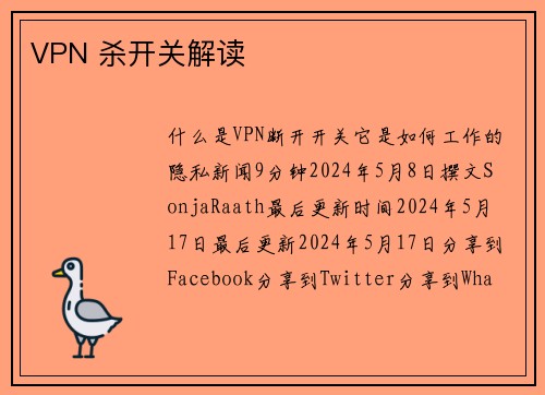 VPN 杀开关解读 